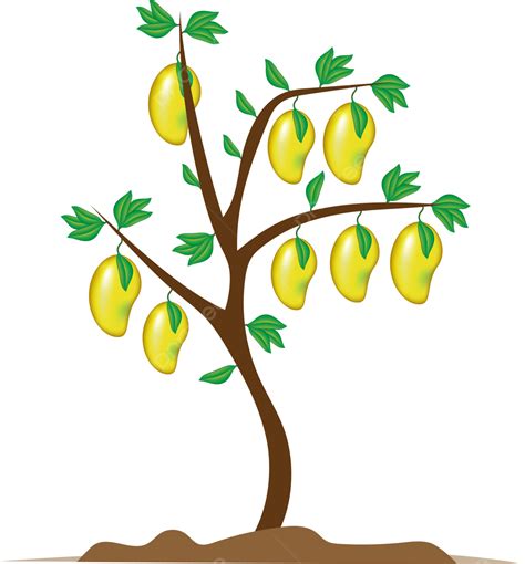 Tree Clipart Clipart Mango Tree Cartoon Tree Png 54 Off