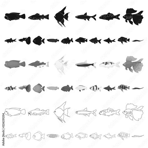 Different types of fish cartoon icons in set collection for design ...