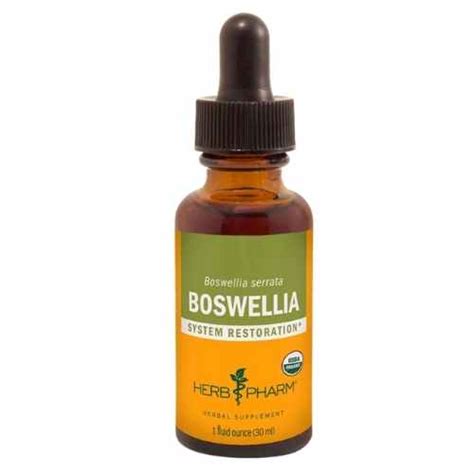 The Best Boswellia Supplements | 2023 Complete Guide | The Botanical ...