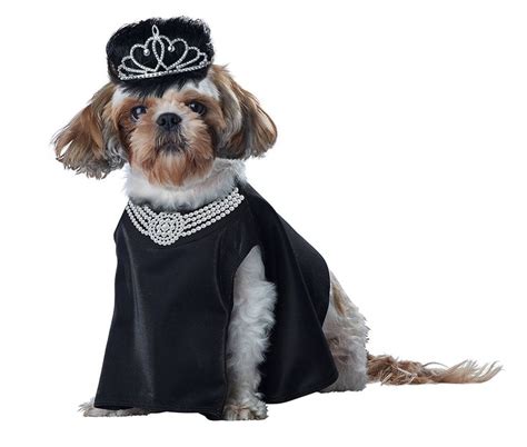 California Costumes Pet Barkfest at Sniffany'S Dog Costume Costume | Pet costumes, Dog costume ...