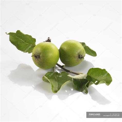 Two green apples — yummy, background - Stock Photo | #149166728