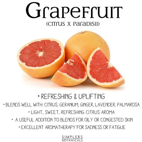 Grapefruit Essential Oil Citrus X Paradisii • Refreshing And Uplifting