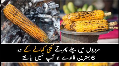 Health Benefits Of Maize Makai Khany Ke Fayde Nutrion Facts Of Corn