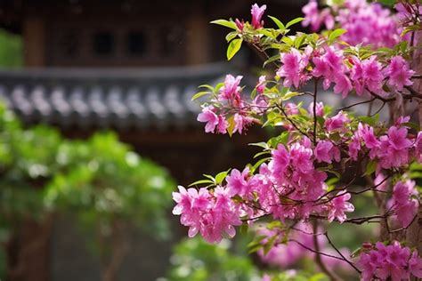 Pagoda Korean Flower Garden In Seoul Background, Building, Ancient ...