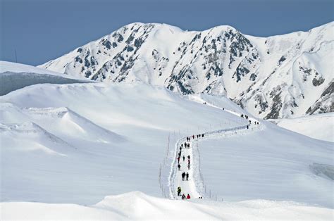 富山「雪の大谷フェスティバル」立山黒部アルペンルートそびえ立つ雪壁は最大20m！415〜625 おんせんニュース