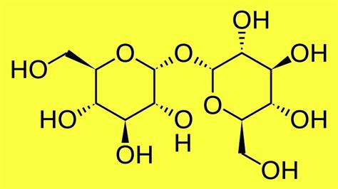 Trehaloz - Evrim Ağacı