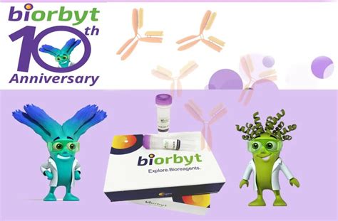 【biorbyt 抗体年终大促】半价优惠 And 买一送一 企业动态 丁香通