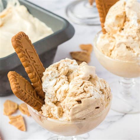 Easy No Churn Gingerbread Ice Cream The Gingered Whisk