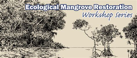 Ecological Mangrove Restoration Workshop Series Blue Forests