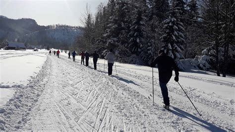 Warunki na trasach biegowych w Zakopanem i Kościelisku 8 02 2020