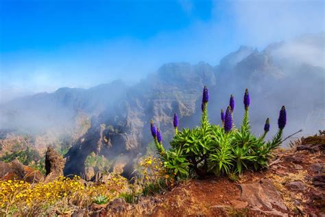 Madeira Stairway To Heaven Pico Areeiro Dan Pico Ruivo Ya Y R Y