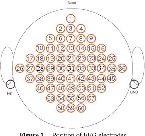 Figure 1 From Classification Of Motor Imagery EEG Signals Based On Time