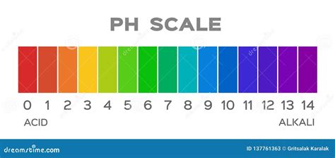 Ph Scale Vector Graphic . Acid To Base Stock Vector - Illustration of ...