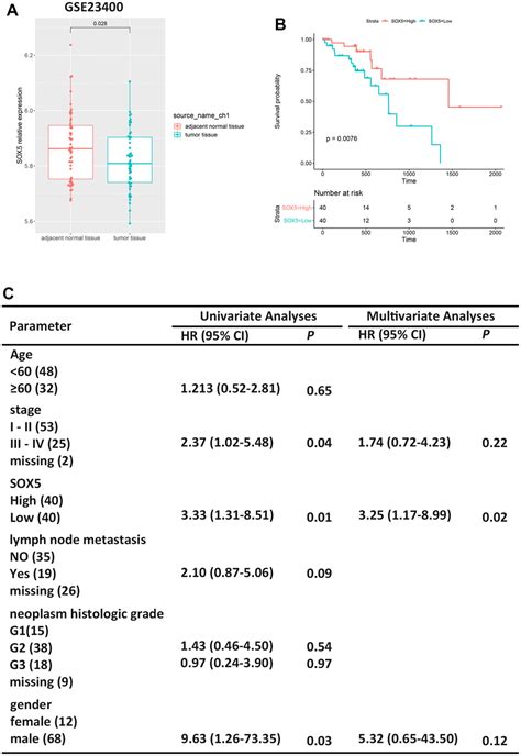 Unveiling The Prognostic Significance Of Sox In Esophageal Squamous