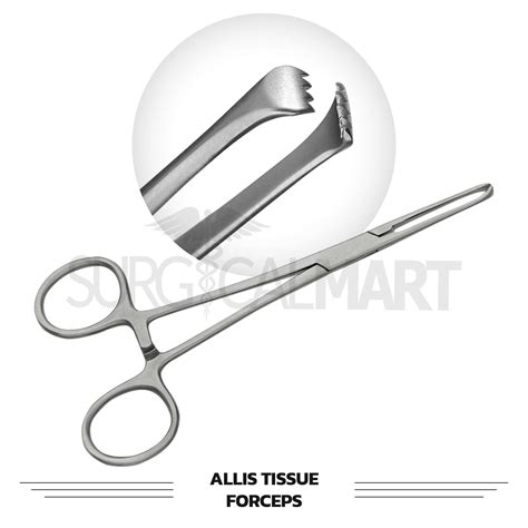 18 Pcs Economy Feline Spay Kit Veterinary Set | Surgical Mart