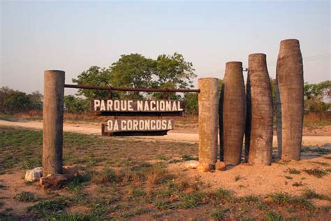 O Renascer Do Parque Nacional Da Gorongosa Alma De Viajante