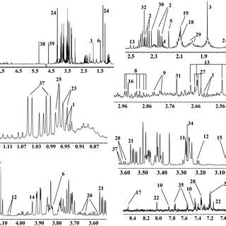 Typical 600 MHz 1H NMR Spectra Of SAV And SMV Metabolite Keys 1