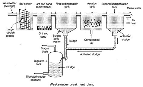 Waste Water Story Class 7 Notes Science Chapter 18 Learn Cbse