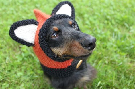 Designer Spotlight The Most Creative Knitted Dog Hats And Cosplay