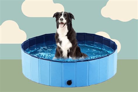 Get Ready for Fun in the Sun with the Best Dog Pools for Your Pooch