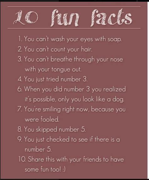 Here Are Some Fun Facts Fun Facts Facts Some Fun