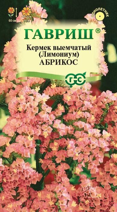 Кермек выемчатый (Лимониум) Абрикос* 0,01 - ГАВРИШ ГК