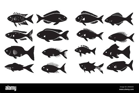 Silhouette Fish Vector Collection Stock Vector Image Art Alamy