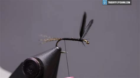 How To Tie The Black Gnat Dry Fly Trident Fly Fishing