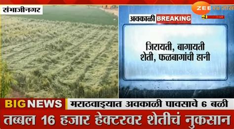 Unseasonal Rain Hit Maharashtra राज्यात अवकाळीचा फटका Marathi News Live Today दिवसभरातील