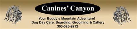 Canines' Canyon - Your Buddy's Mountain Adventure