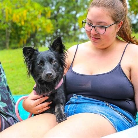 Mutirão para castração de cães e gatos abre inscrições em Vinhedo