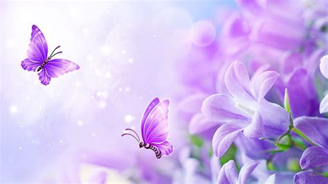 Bliss Soft Butterflies Pastel Summer Flowers Purple Butterfly Pastel Purple Rose Beautiful