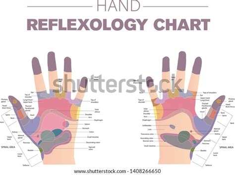 Hand Reflexology Massage Therapy Medical Vector Illustration Chart Nbkomputer