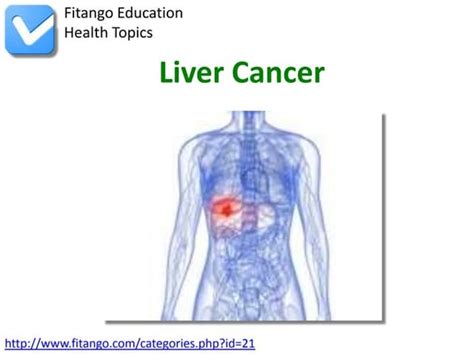 Liver Cancer Treatment Options