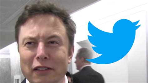 Elon Musk's $44 Billion Twitter Deal on Temporarily Hold, Stock Tanks