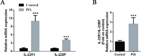 Expression Level Of Il Receptor And Binding Protein In The Spleen Of