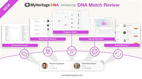 Introducing The DNA Match Review Page MyHeritage Blog