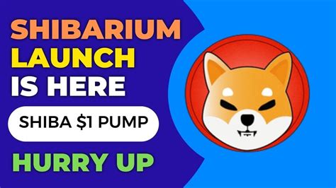 Shiba Inu Shibarium Launch Is Here Shiba Inu Coin News SHIB 1