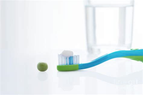 Toothbrush With Pea Sized Amount Of Toothpaste 2 By Science Photo Library