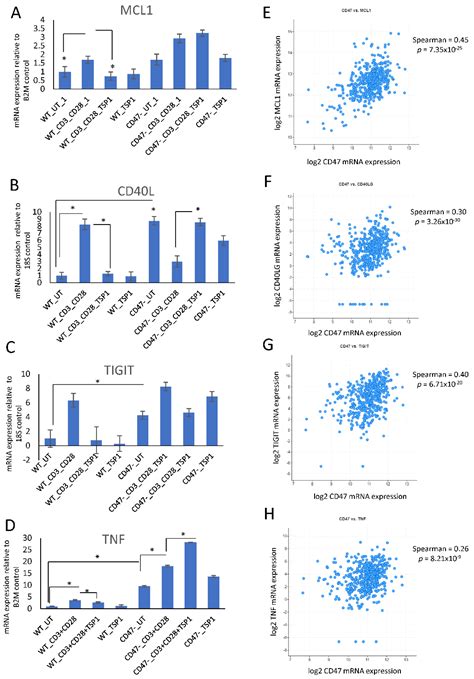 IJMS Free Full Text CD47 Dependent Regulation Of Immune Checkpoint