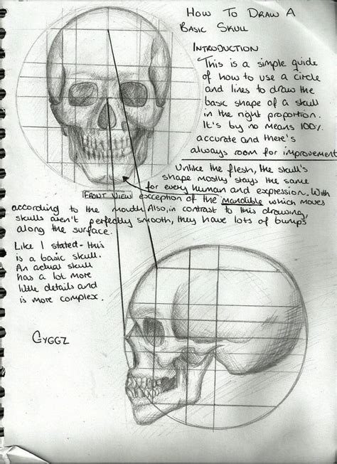 Drawing A Skull (Tutorial) by GyggzyChan on DeviantArt