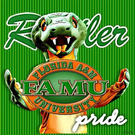 Pin by Teaching With My Toes In Sand on FAMU | Famu, Graphic, Hbcu