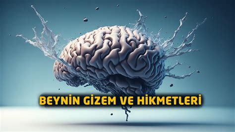 Beynin Gizem Ve Hikmetleri EuroNur SaidNursi De