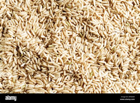 Longgrain Rice Close Up Stock Photo Alamy