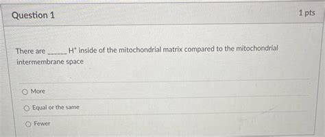 Solved There are H+inside of the mitochondrial matrix | Chegg.com