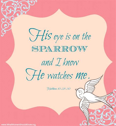 His Eye Is On The Sparrow Scripture Christin Ditchfield