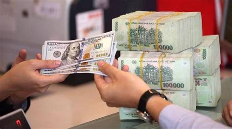 VND Remains Most Stable Currency In Region Report