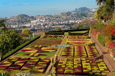 Hanna & Erkki Tamsalu travelogue: Funchal Botanical Garden