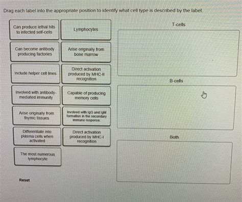 38 Drag Each Label Into The Appropriate Position To Match The Tissue