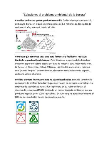 Soluciones A Problemas Ambientales By Ashl Y Soljancic Issuu